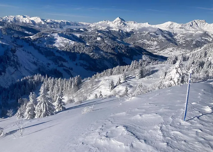 Demi Chalet Le Lachat