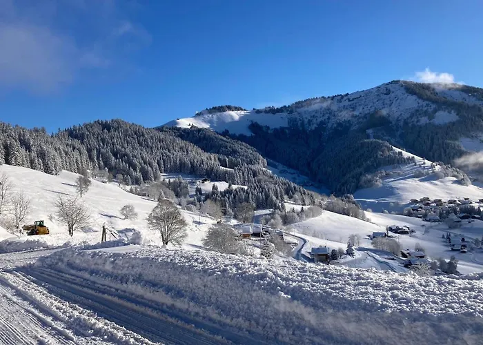 Demi Chalet Le Lachat
